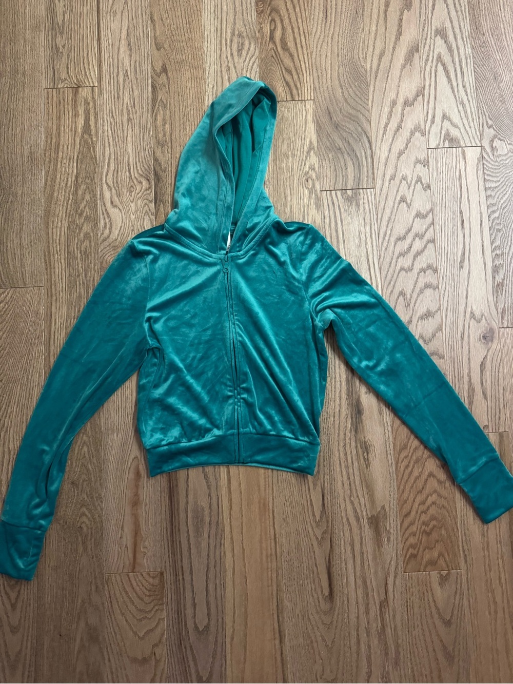 aerie Teal Plush Zip-Up Hoodie